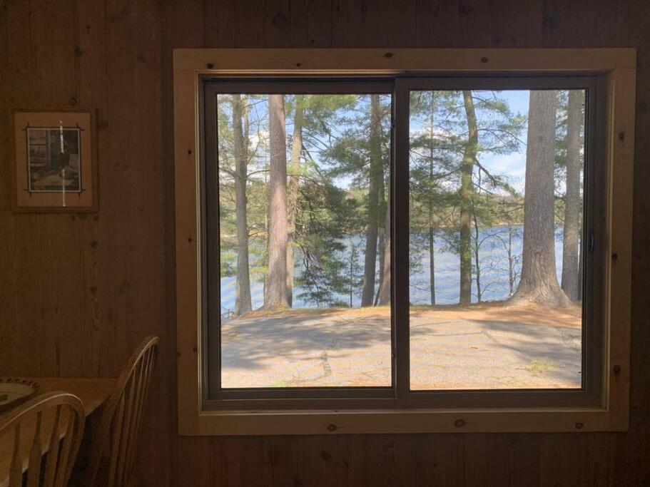 Saint Germain Black Bear Lodge-Bear Trap #3 المظهر الخارجي الصورة