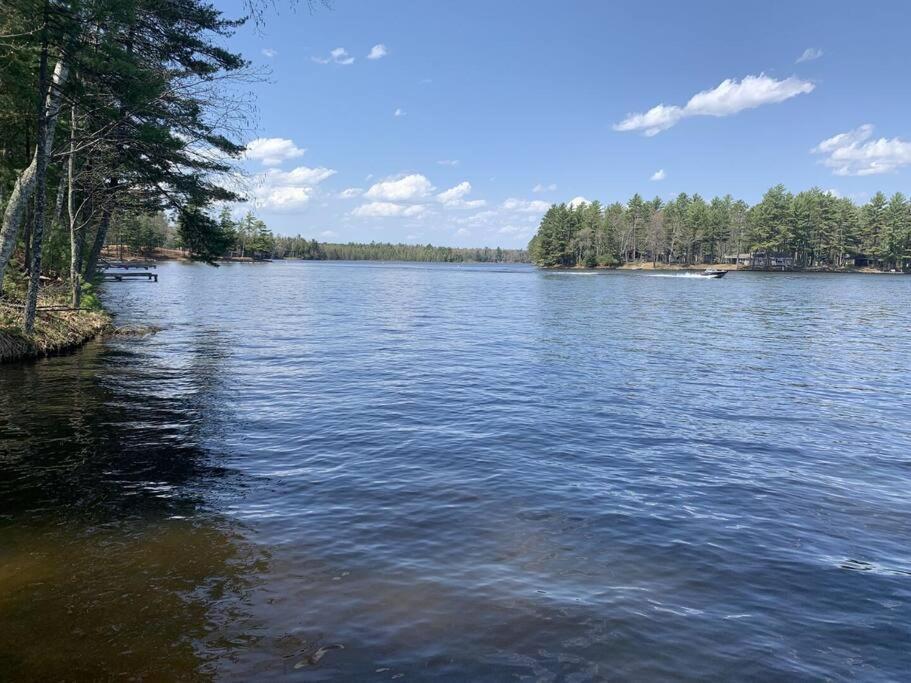 Saint Germain Black Bear Lodge-Bear Trap #3 المظهر الخارجي الصورة